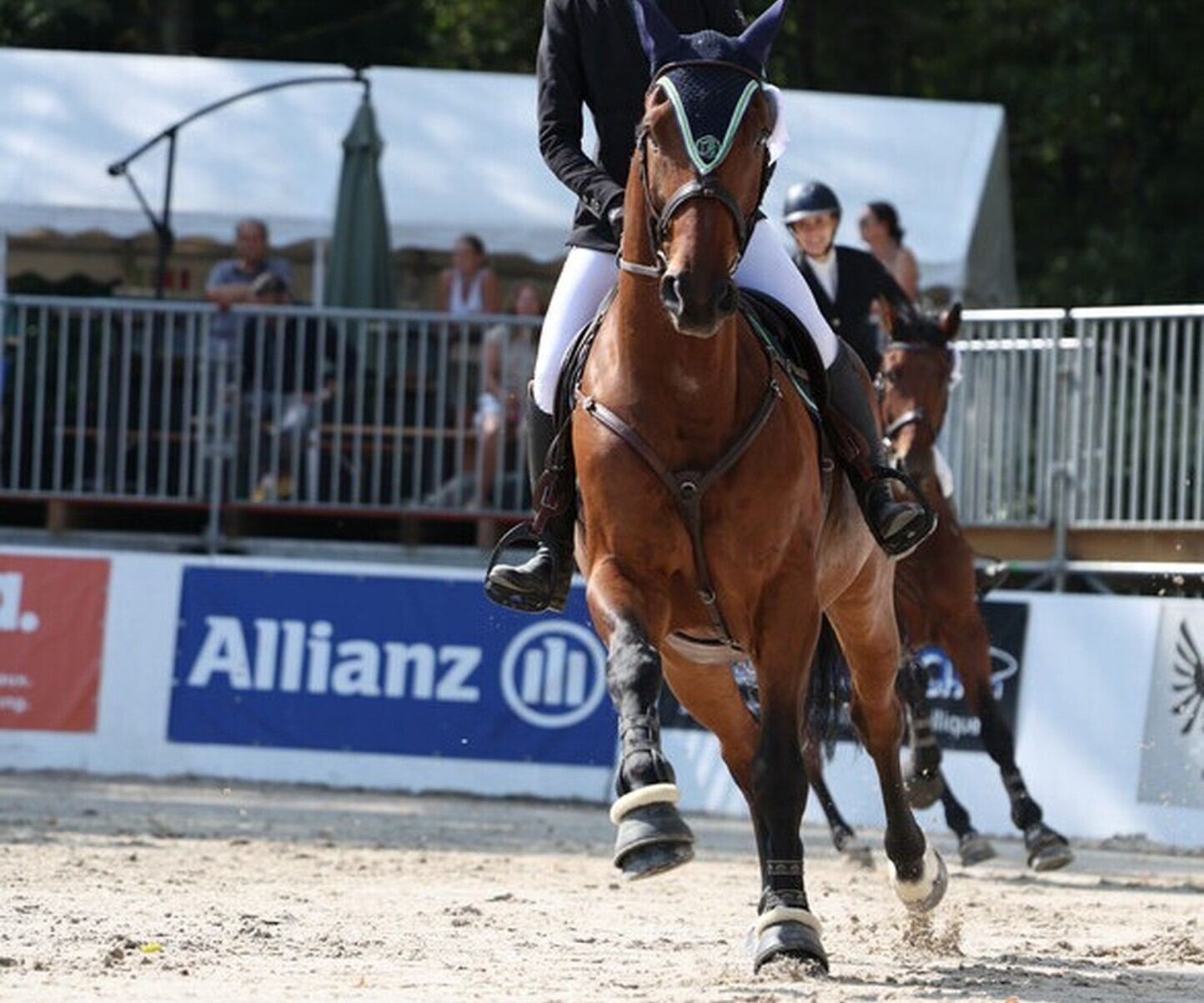 Description de l'image