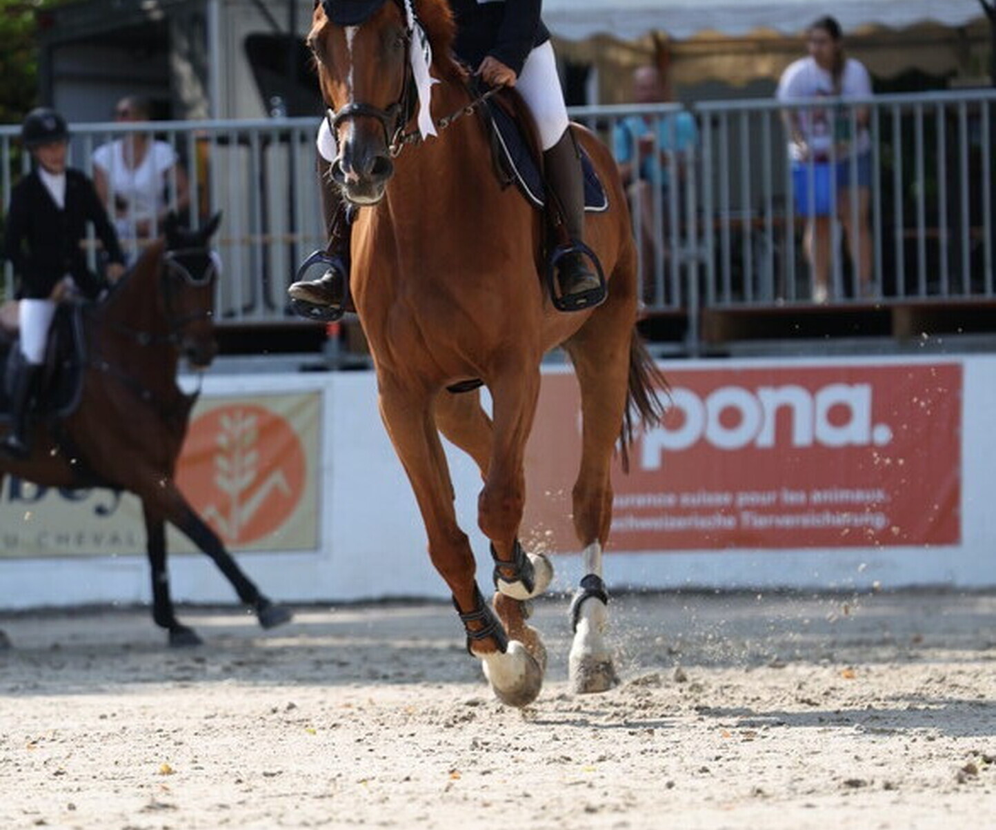 Description de l'image