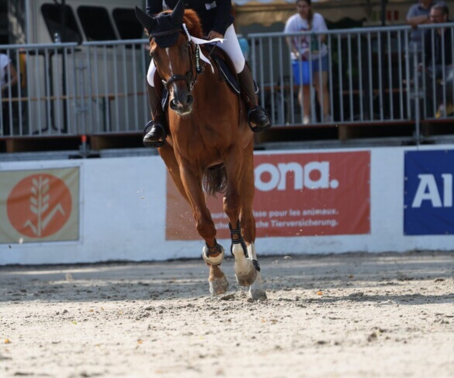 Description de l'image