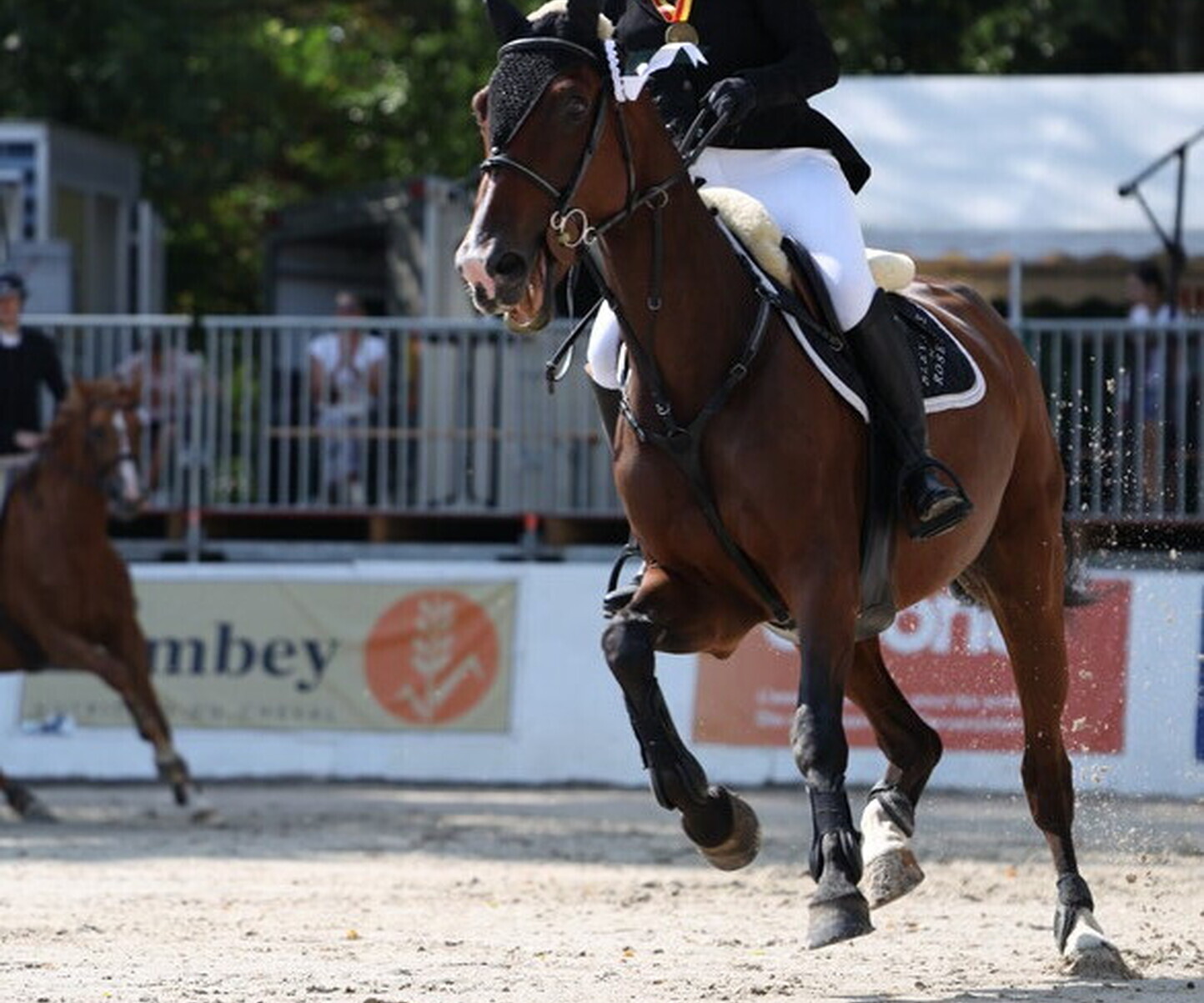 Description de l'image