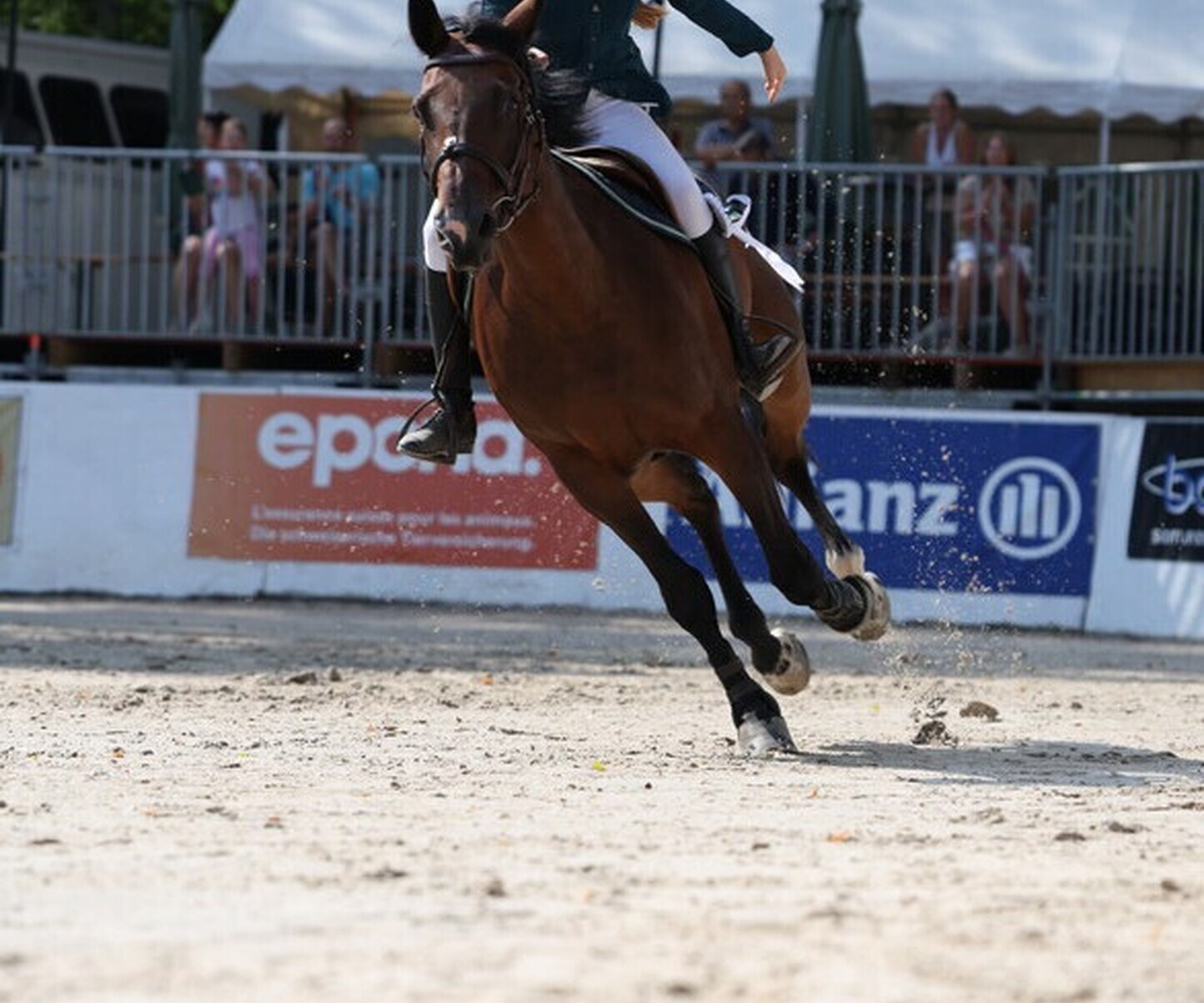 Description de l'image