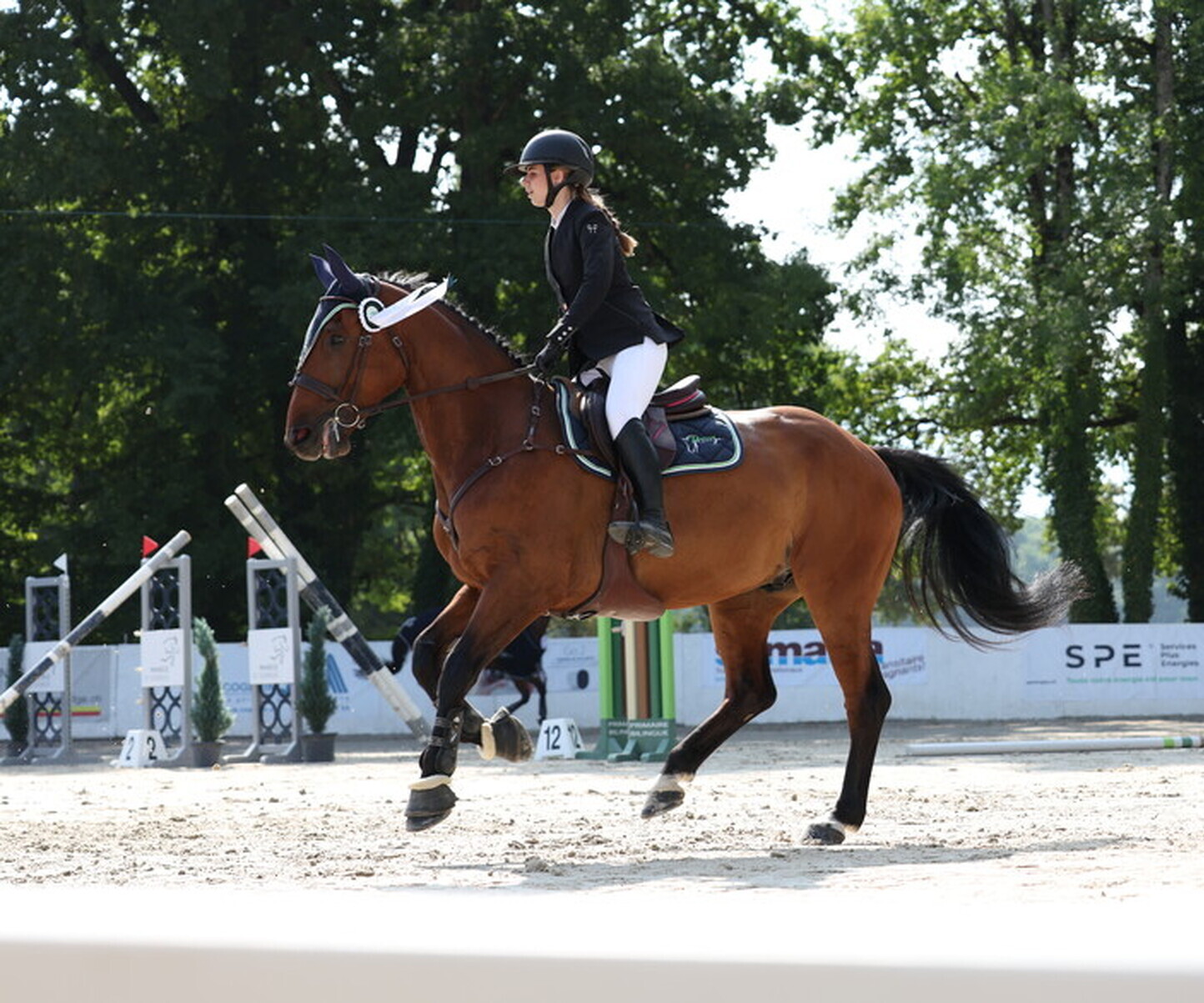 Description de l'image