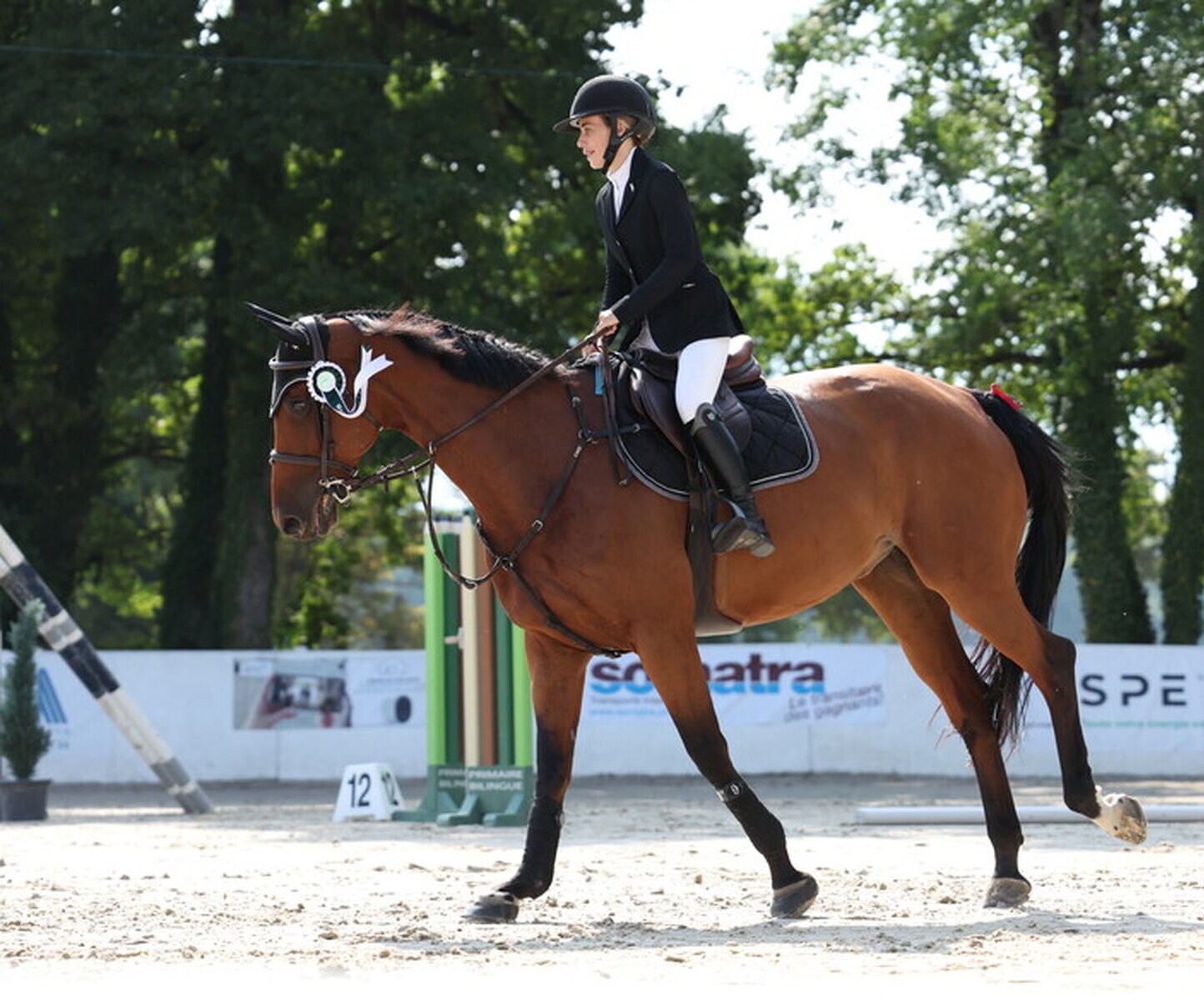 Description de l'image