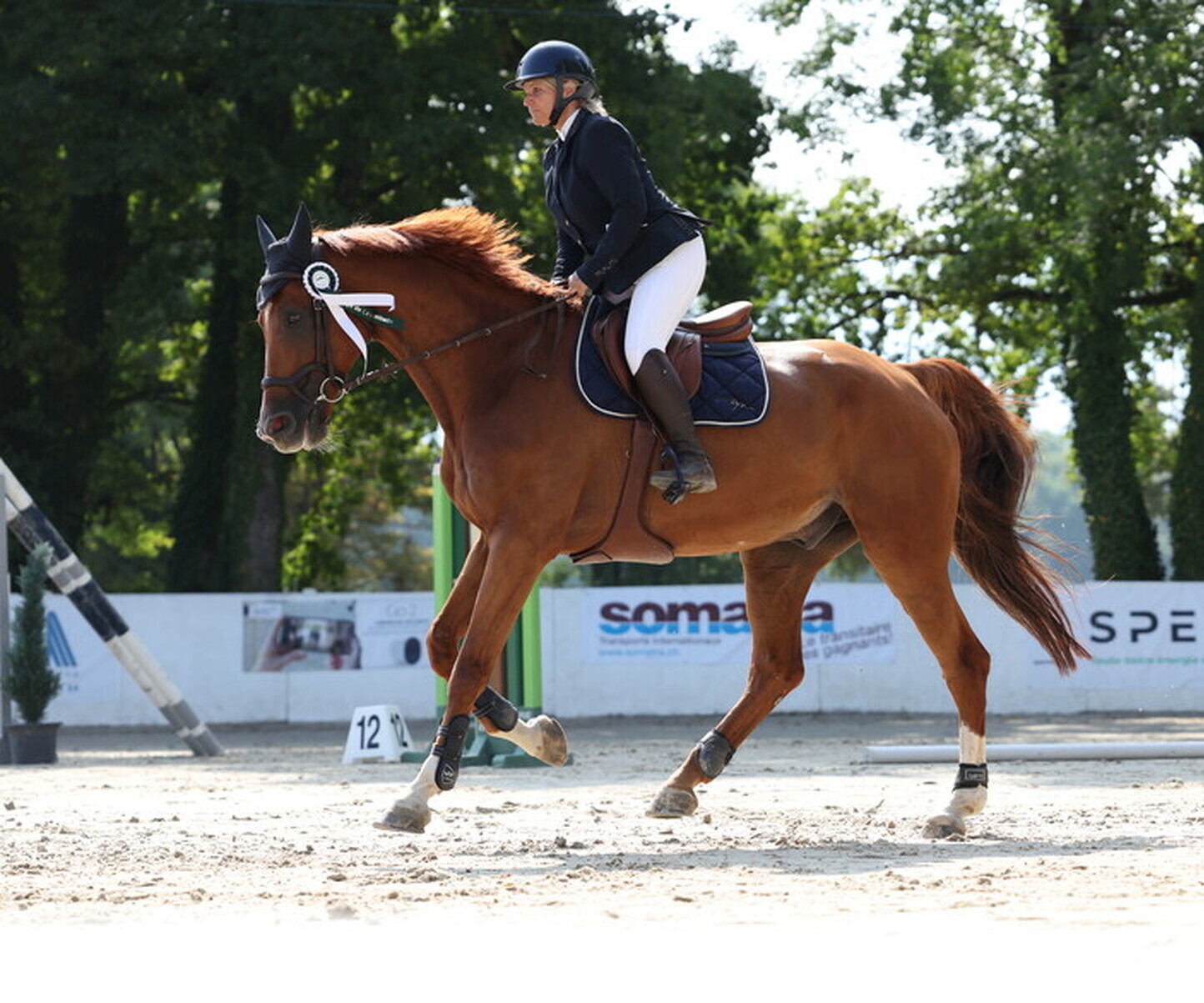 Description de l'image