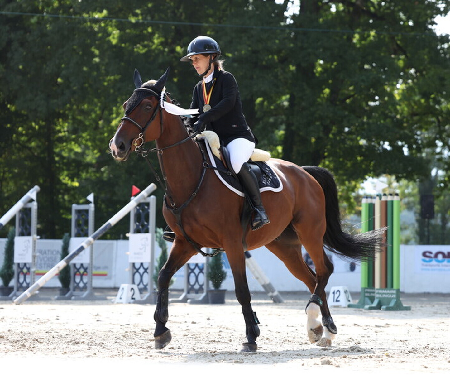 Description de l'image