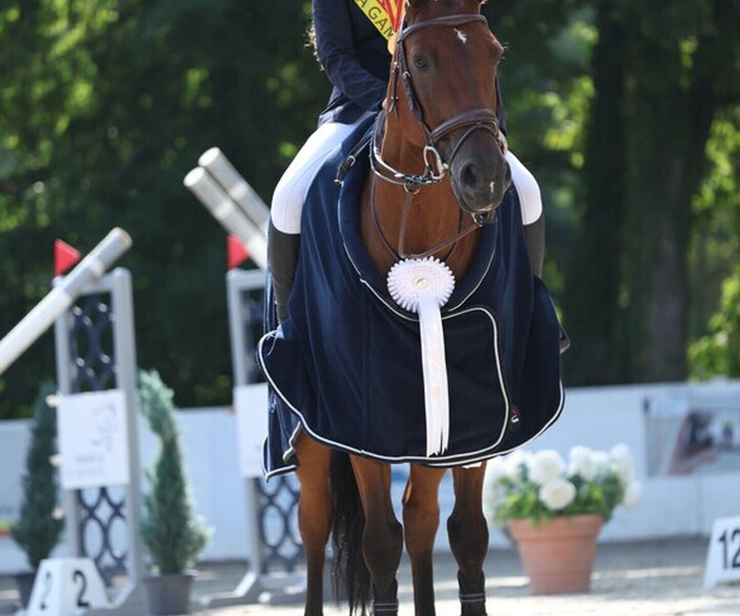 Description de l'image