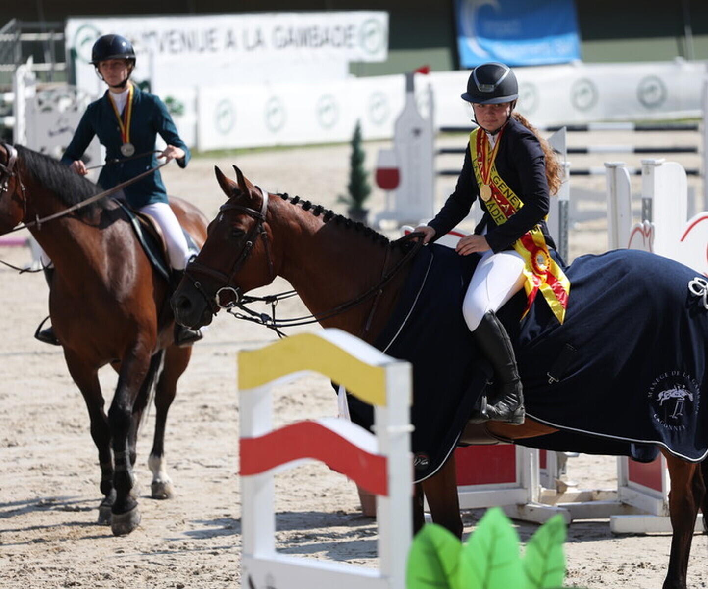 Description de l'image