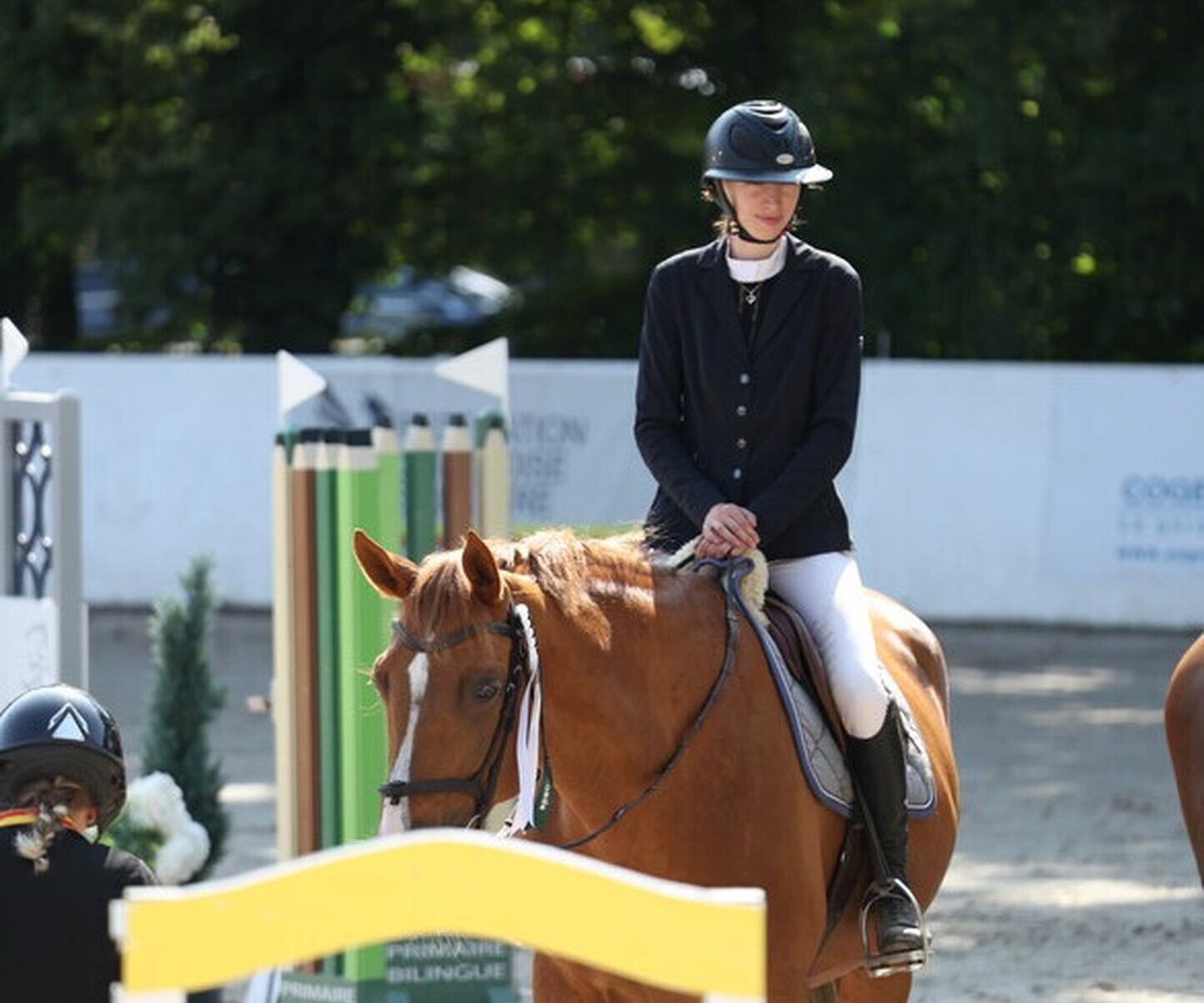 Description de l'image