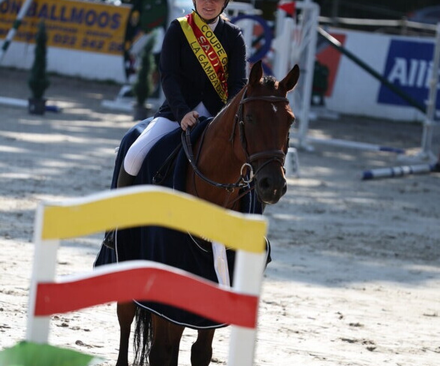 Description de l'image