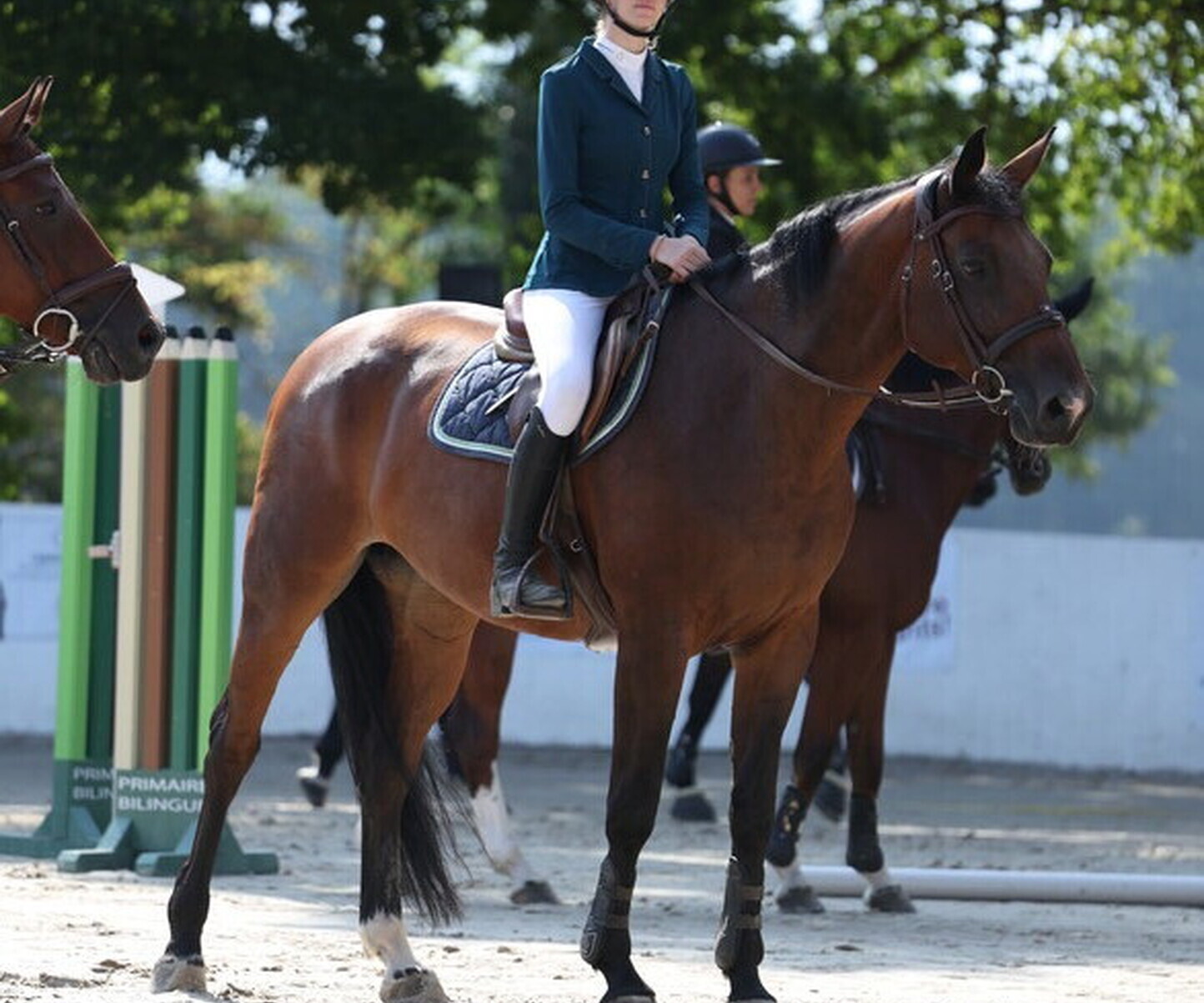 Description de l'image