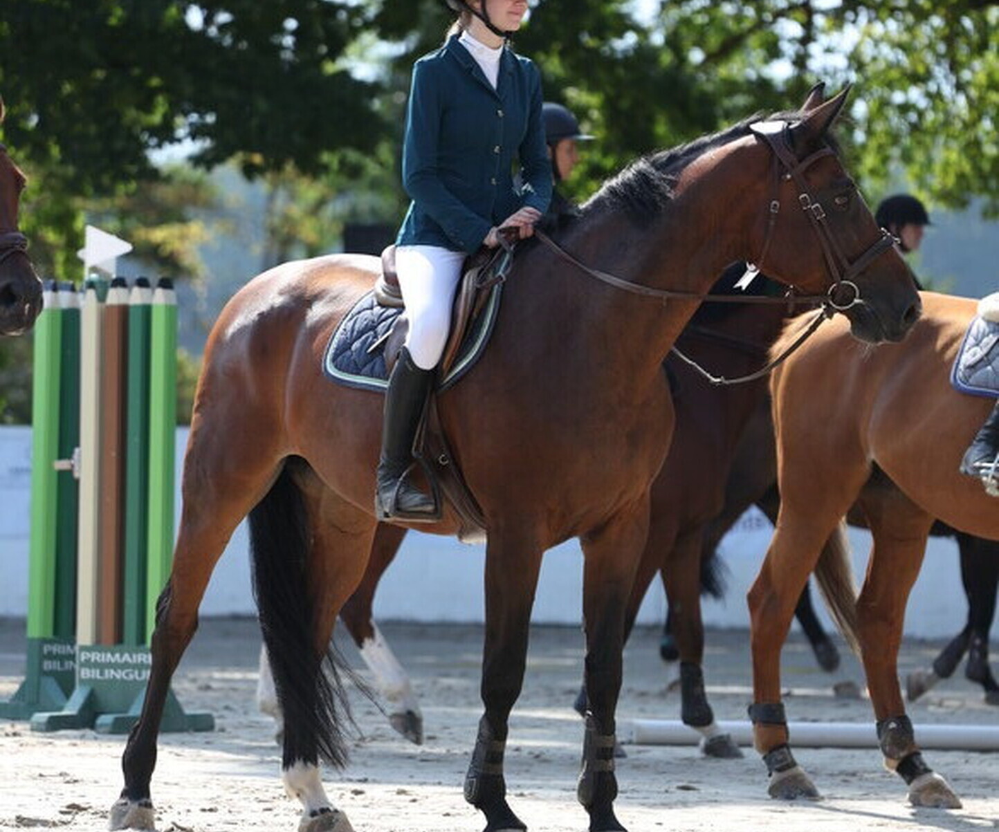 Description de l'image