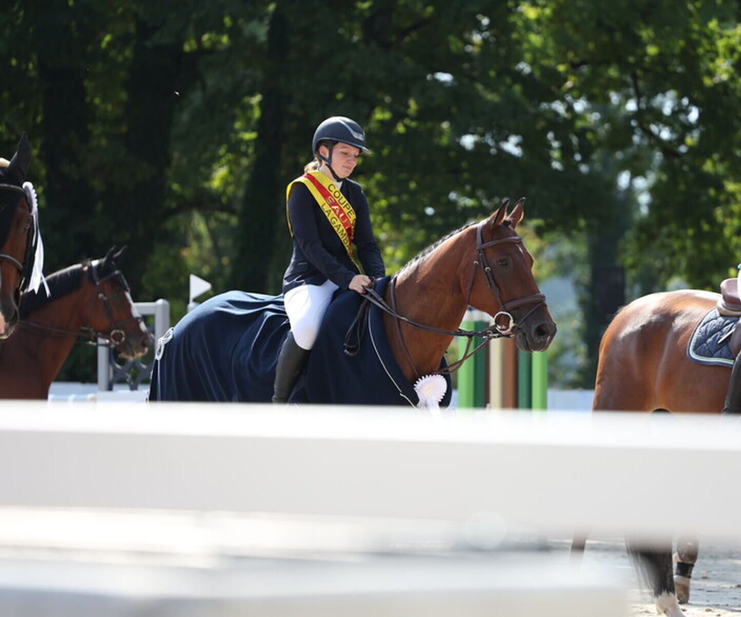 Description de l'image