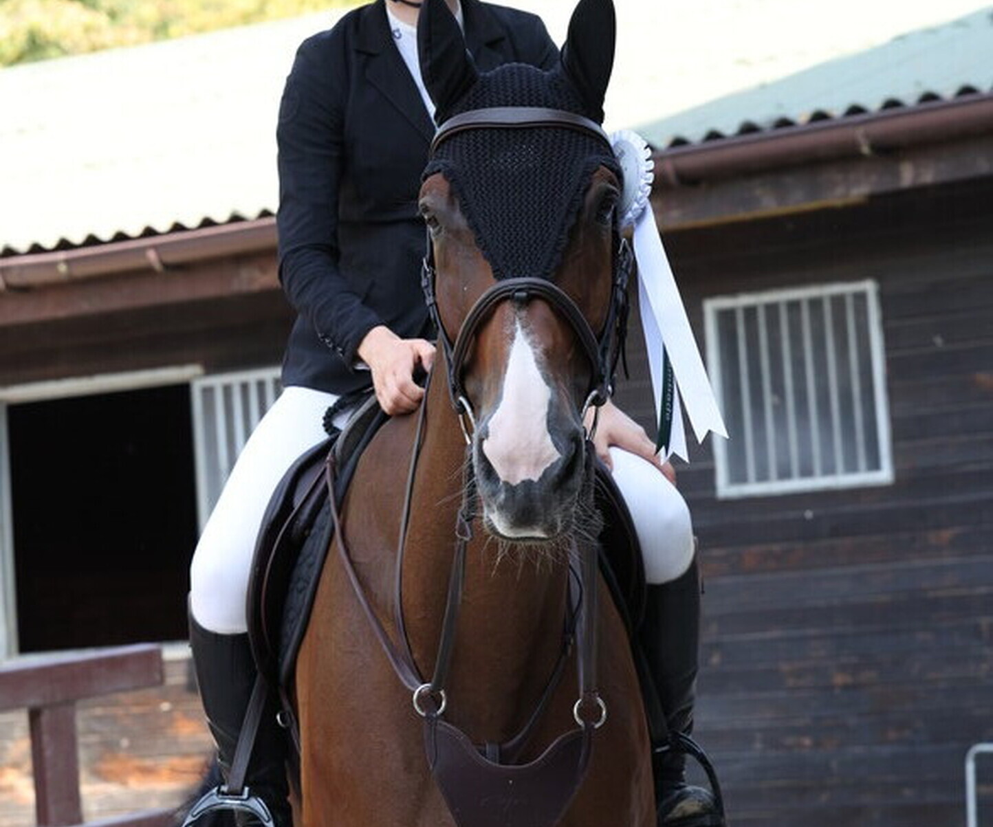 Description de l'image