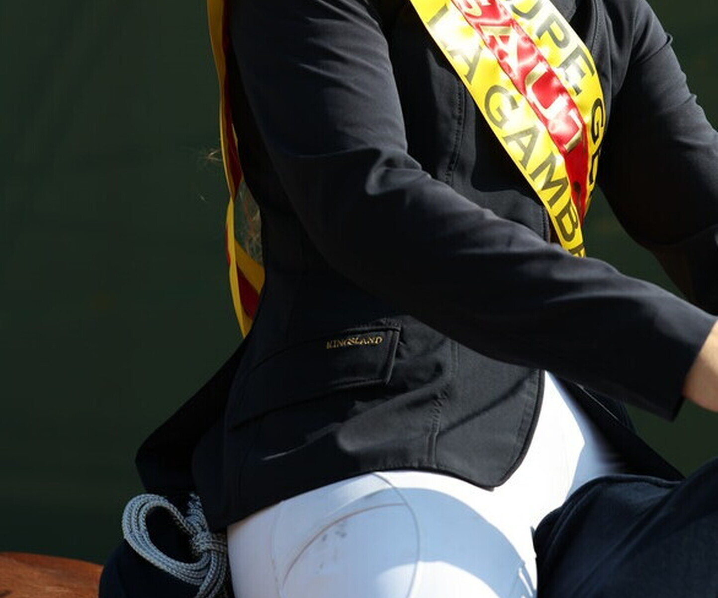 Description de l'image