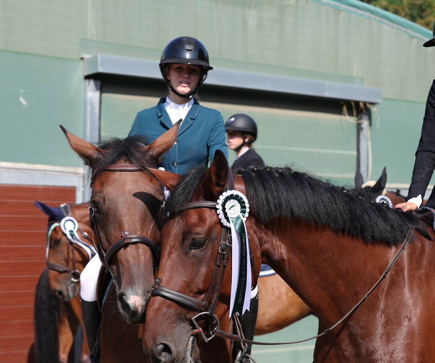 Description de l'image