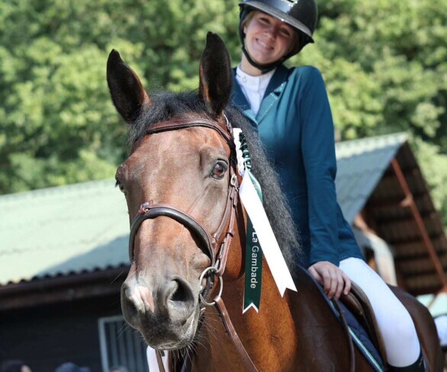 Description de l'image