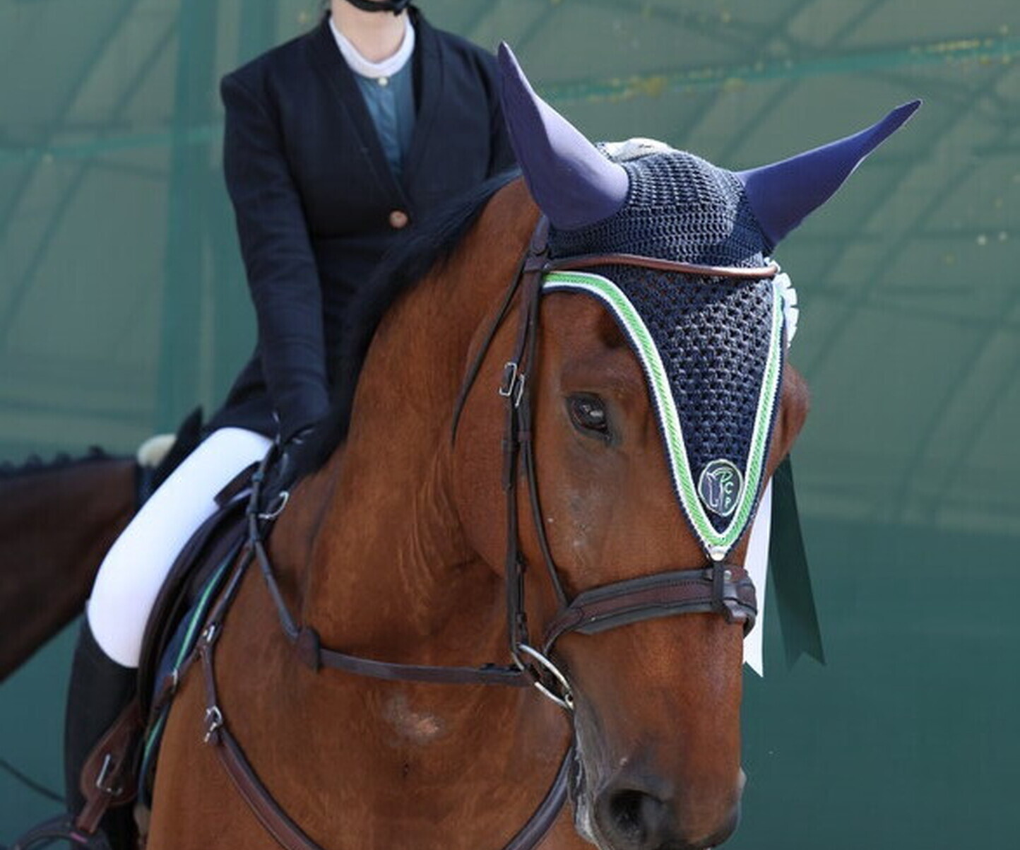 Description de l'image