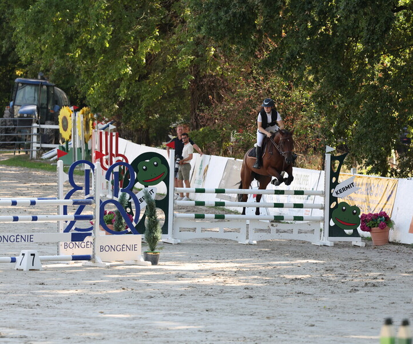 Description de l'image