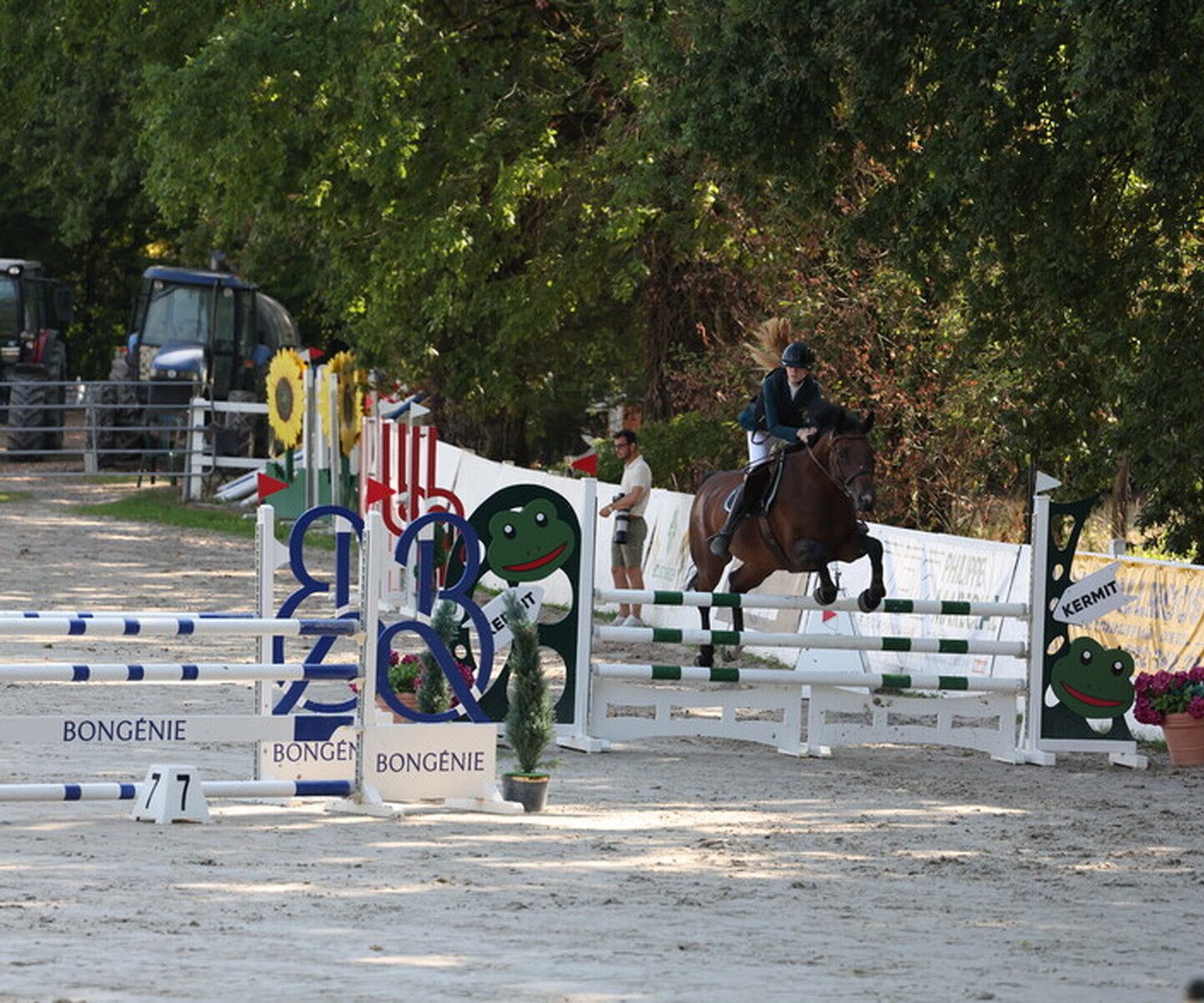 Description de l'image