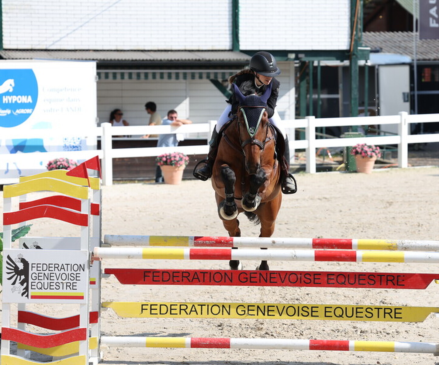 Description de l'image