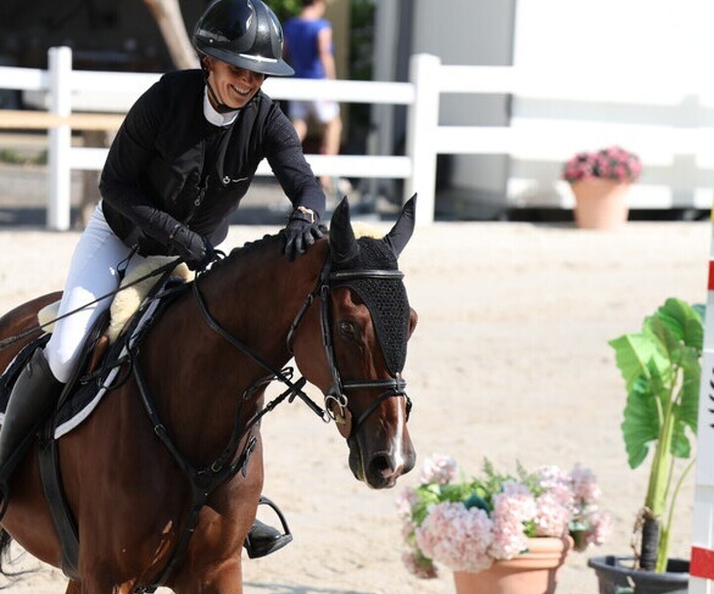 Description de l'image