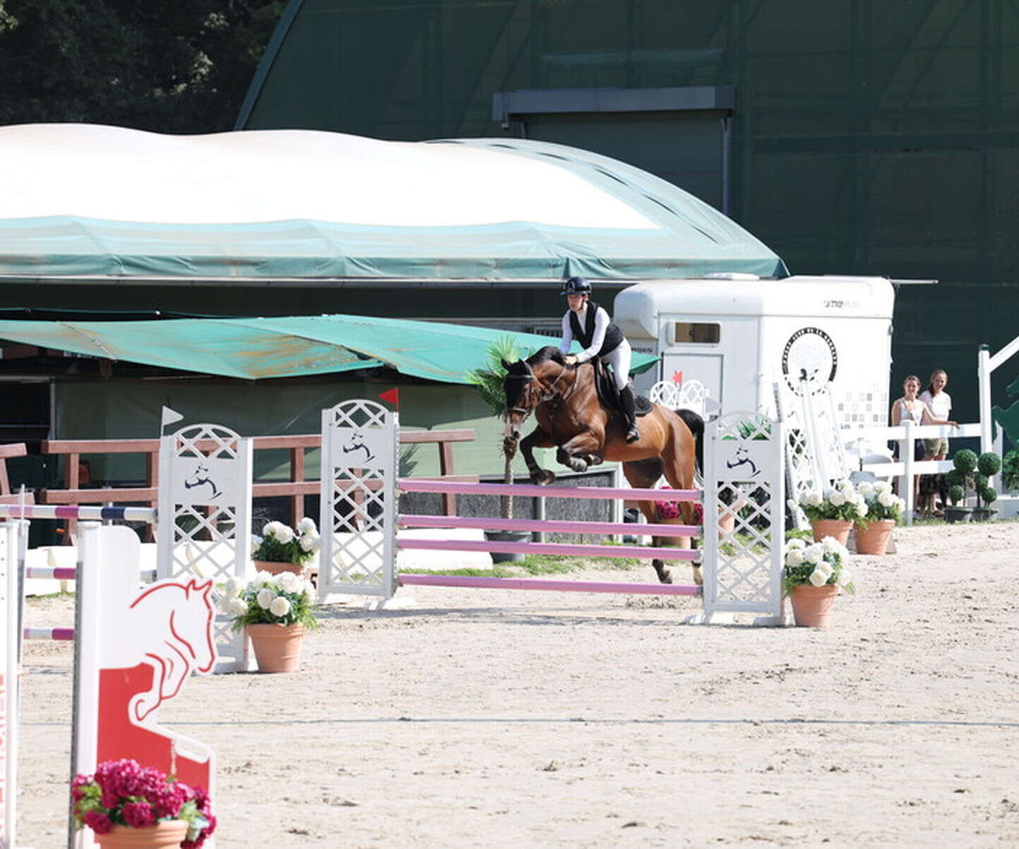 Description de l'image