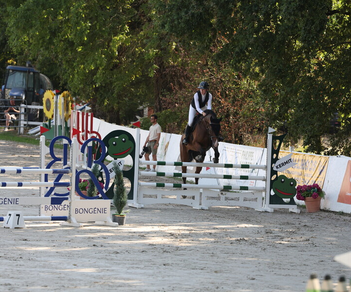 Description de l'image