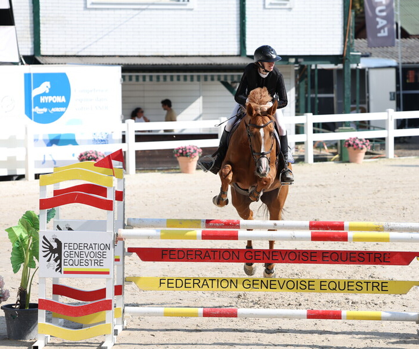 Description de l'image