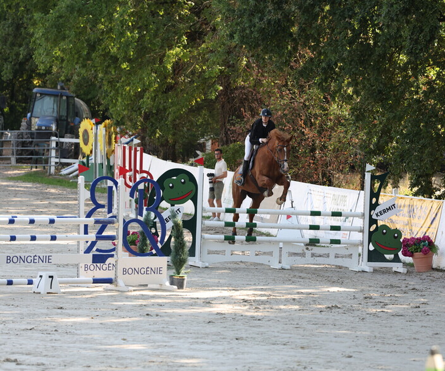 Description de l'image