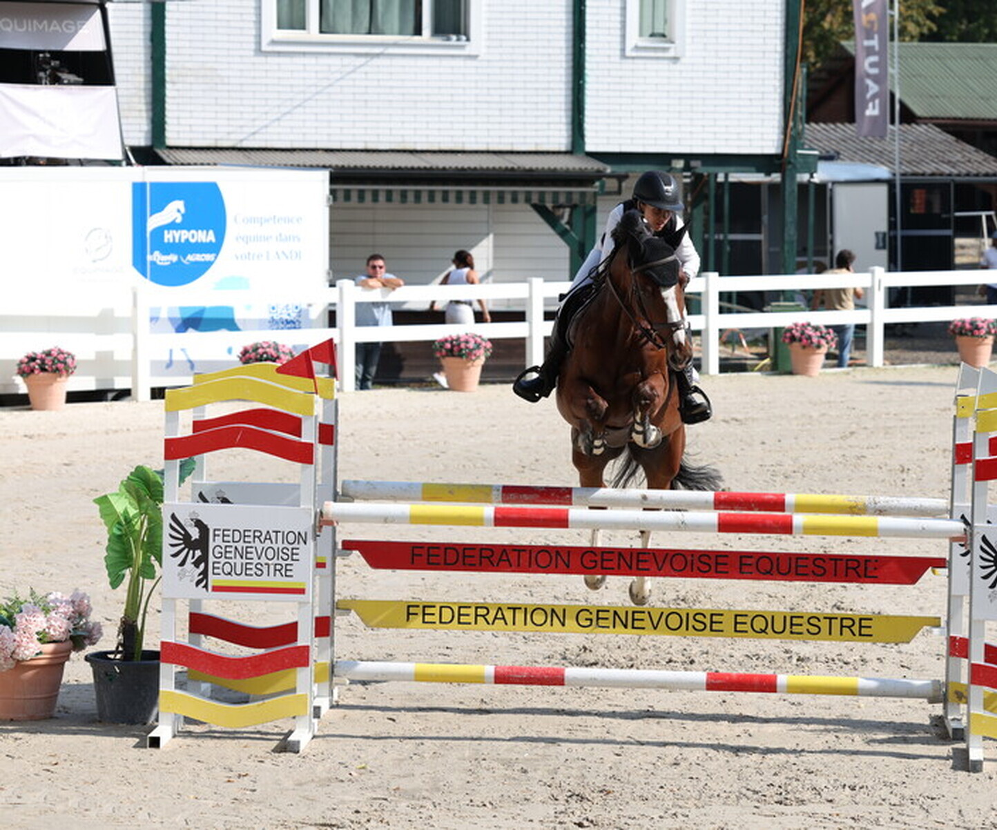 Description de l'image