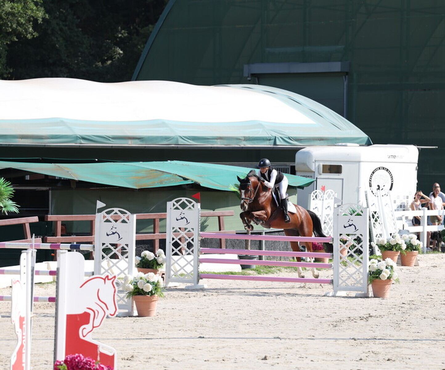 Description de l'image