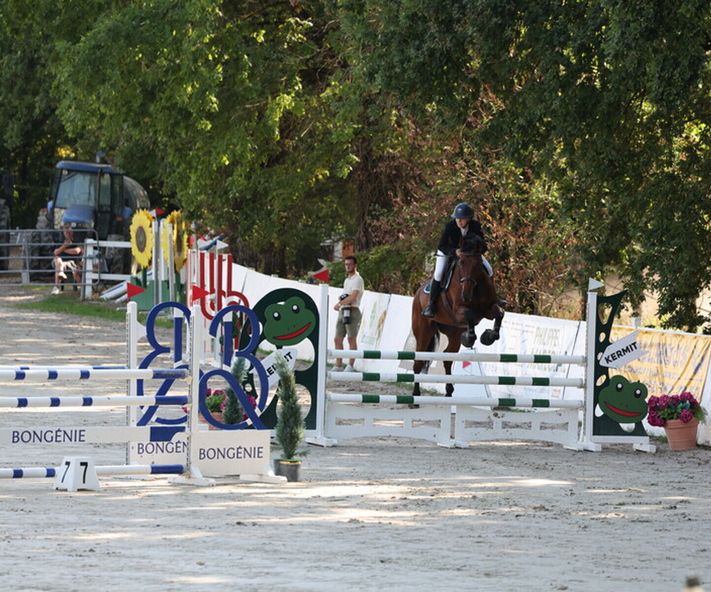 Description de l'image