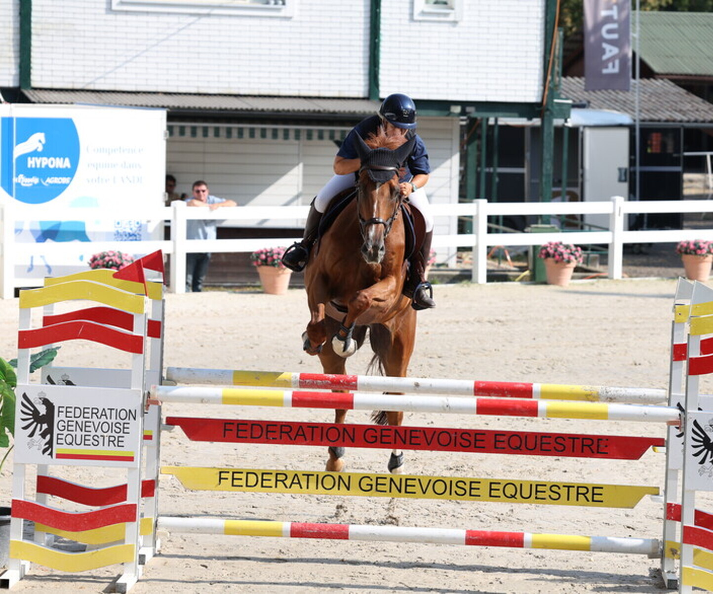 Description de l'image