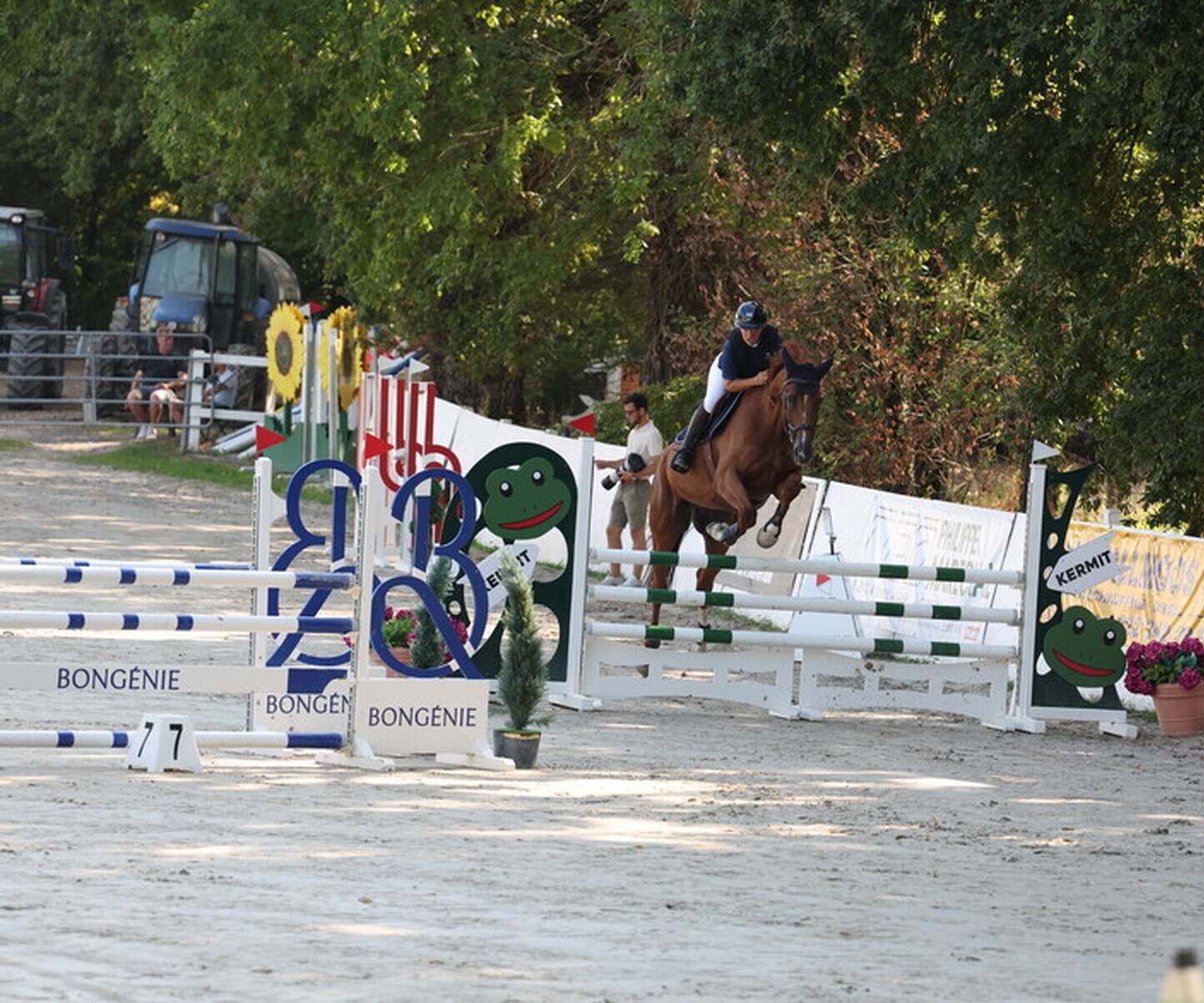 Description de l'image