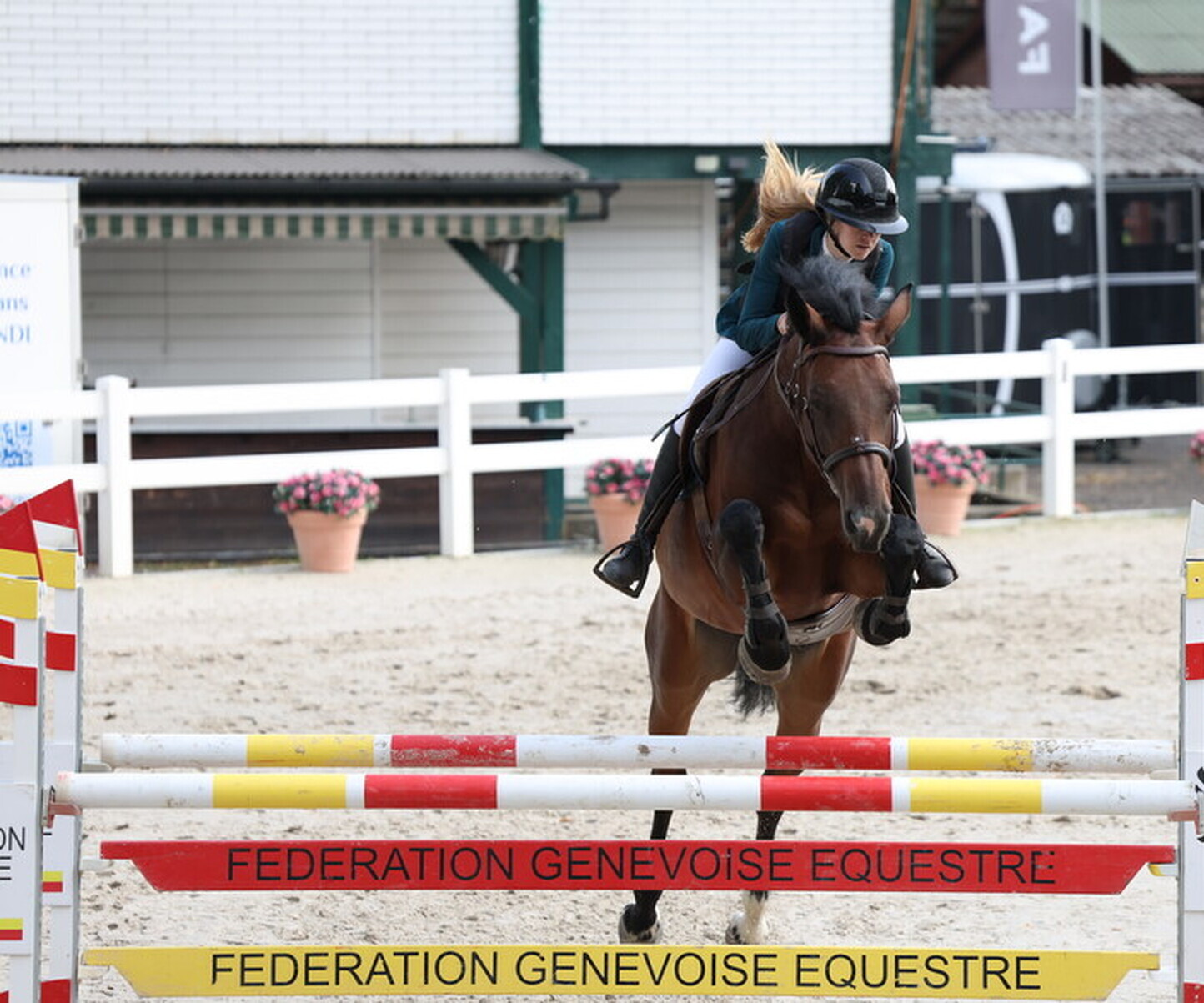 Description de l'image