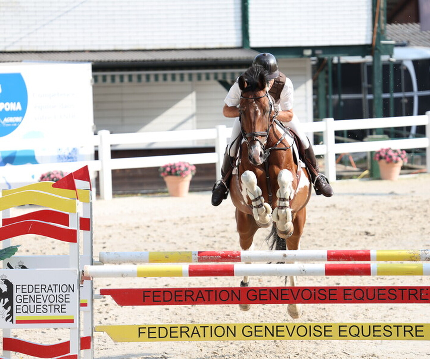 Description de l'image