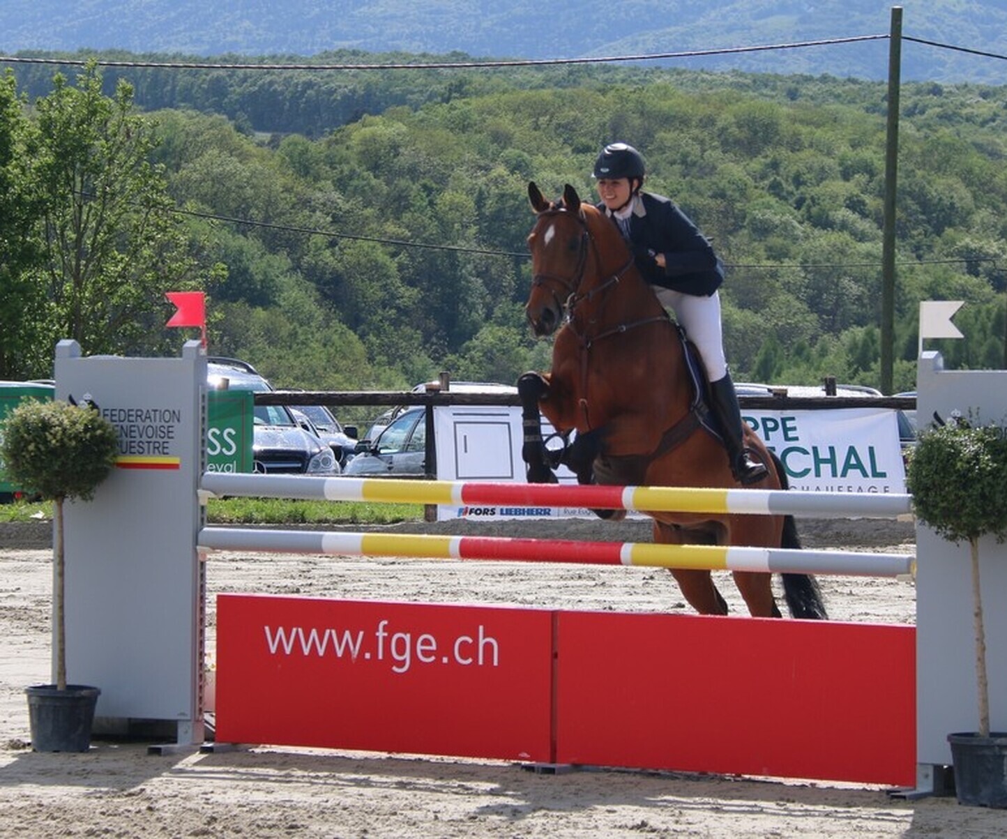 Description de l'image