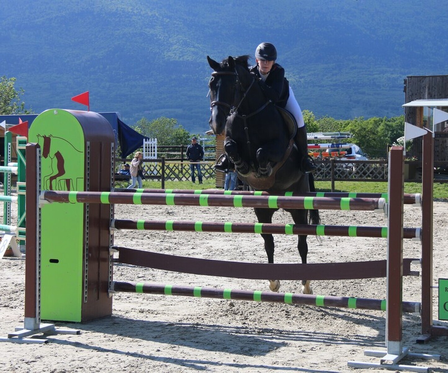 Description de l'image