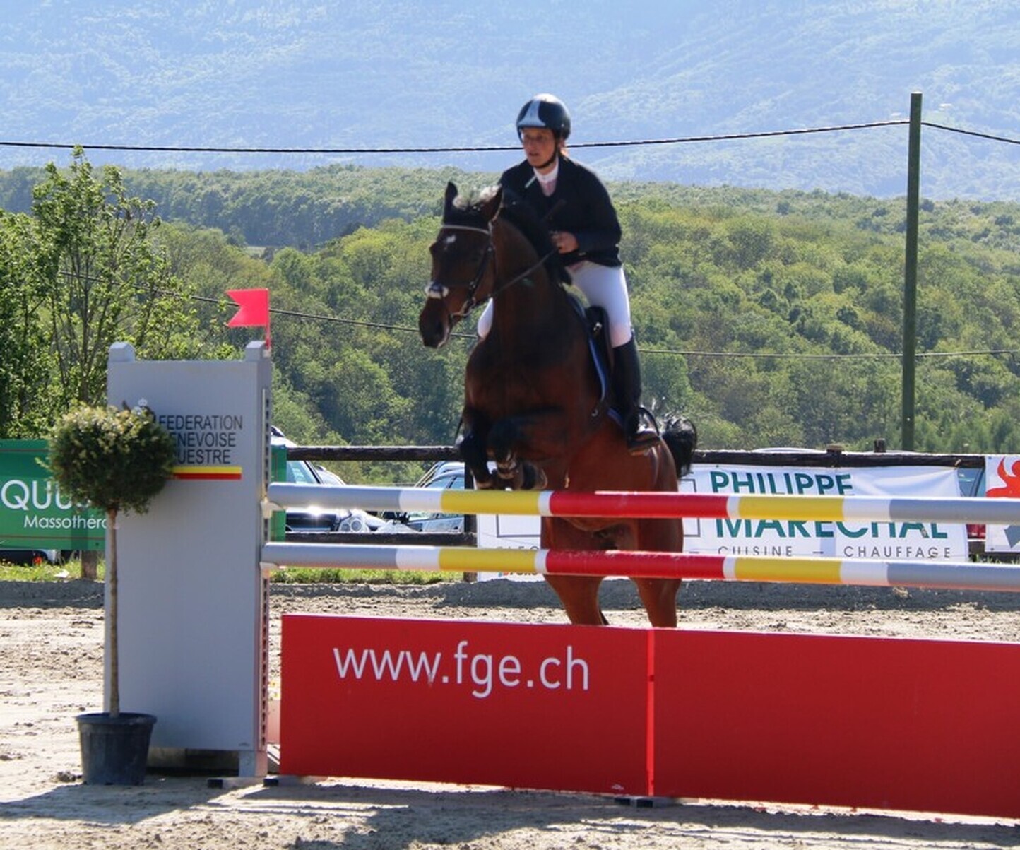 Description de l'image