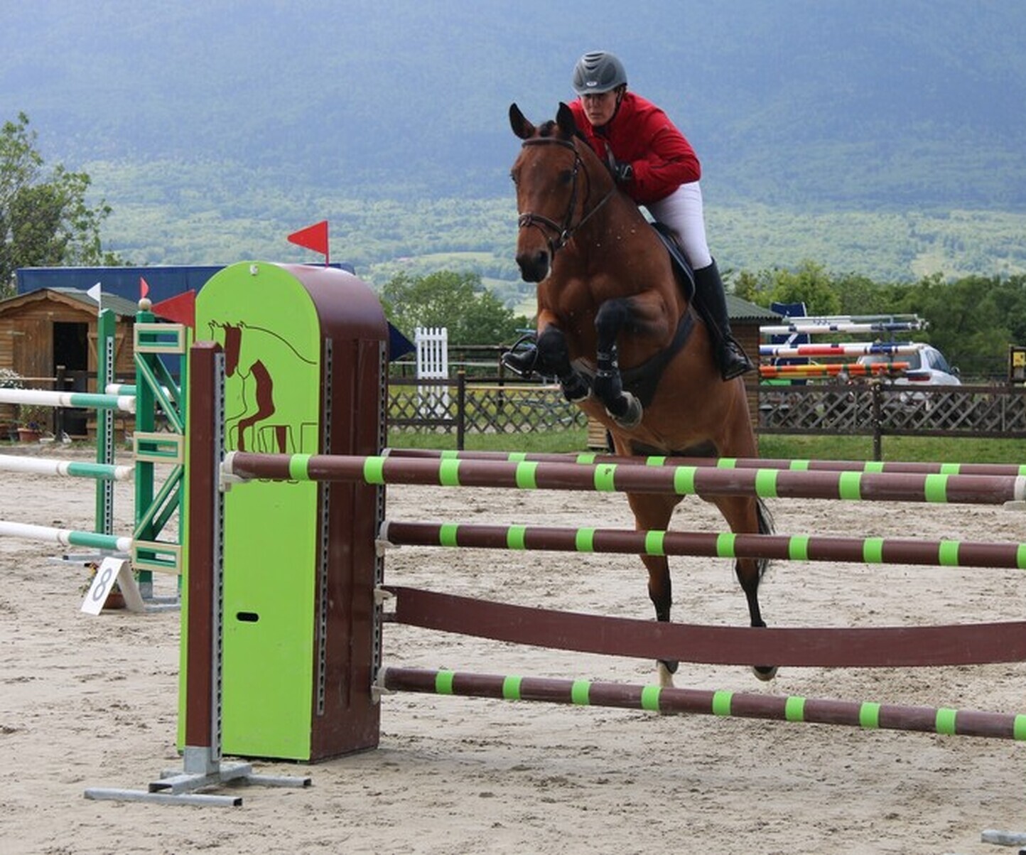 Description de l'image