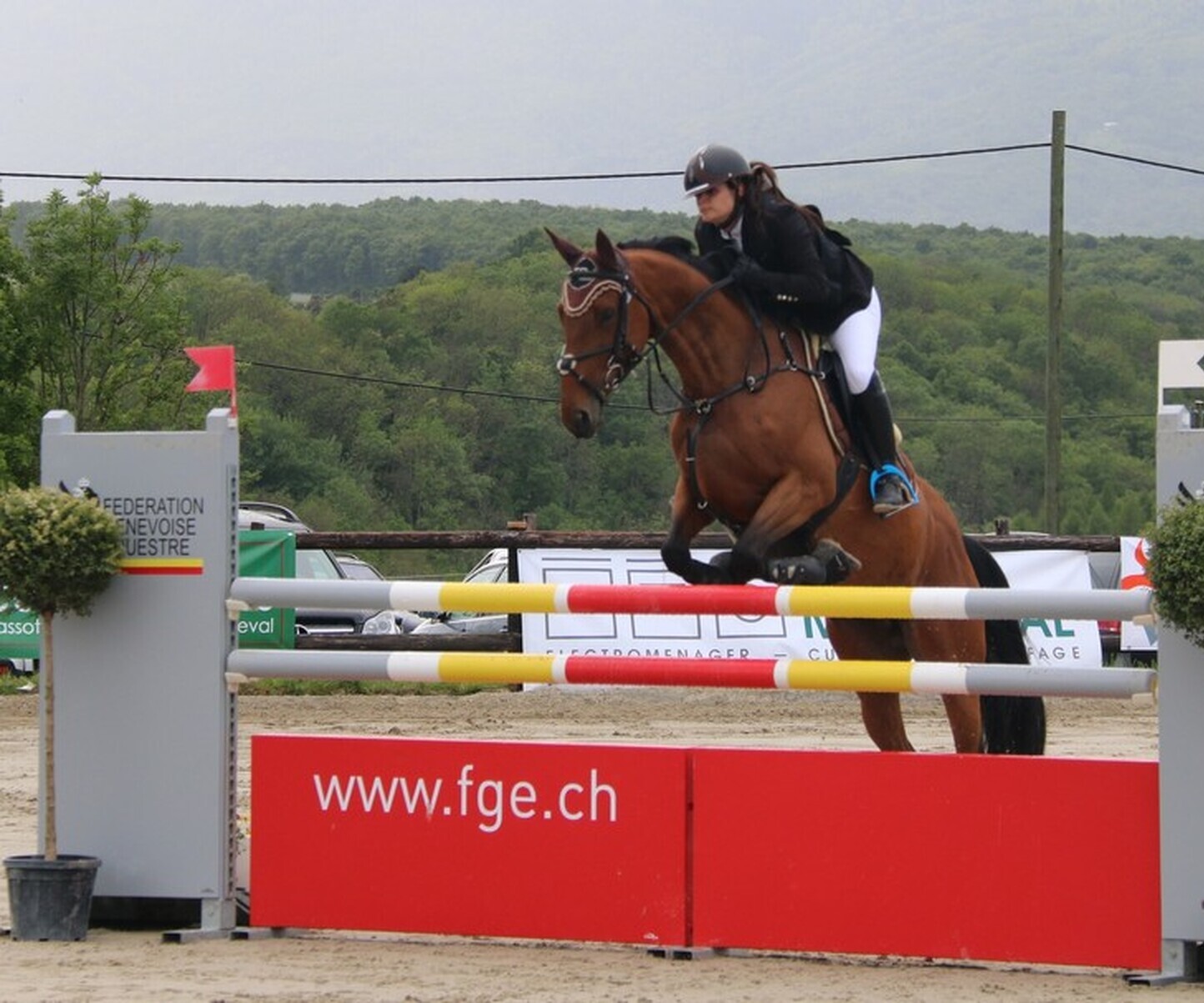 Description de l'image