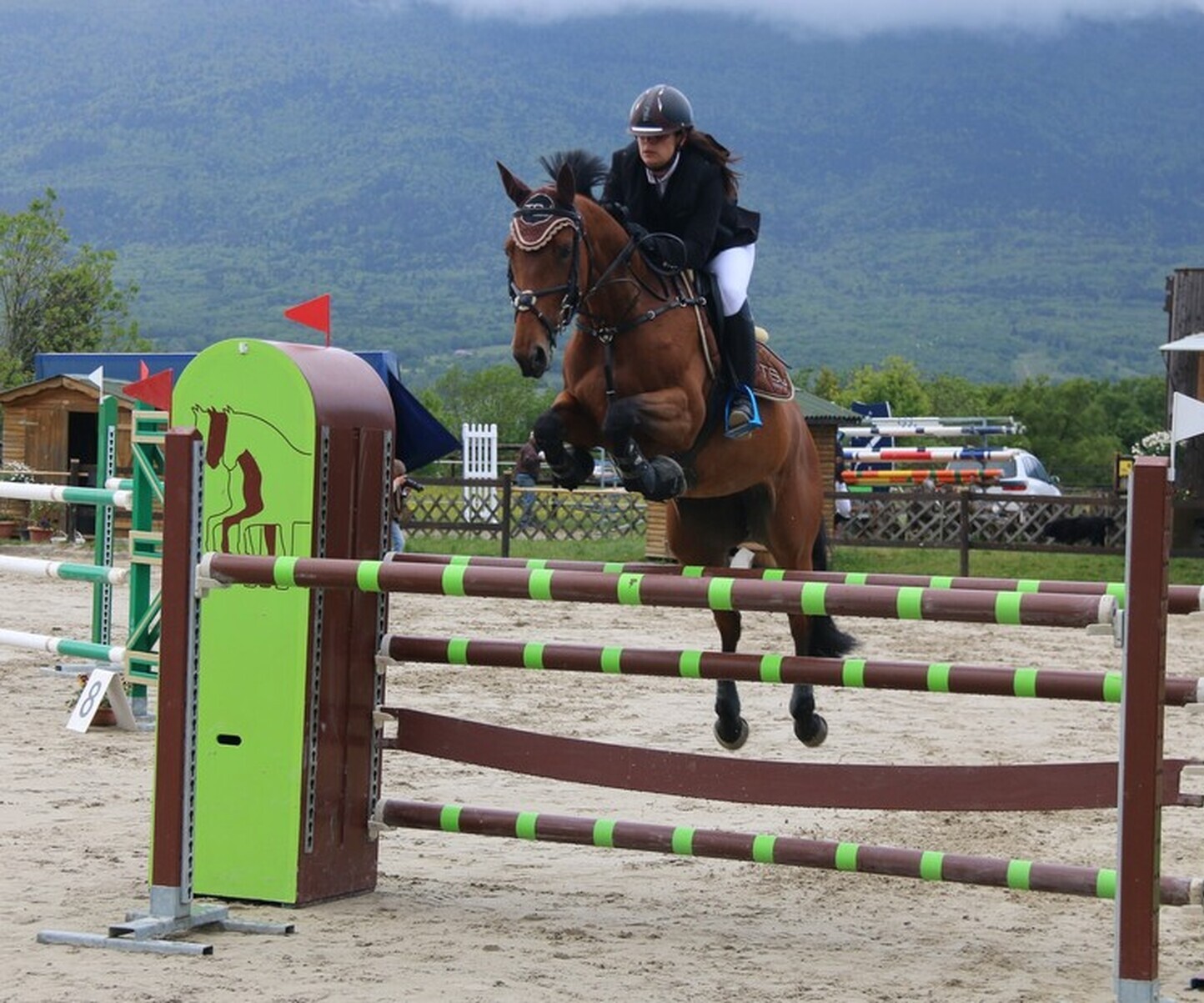 Description de l'image