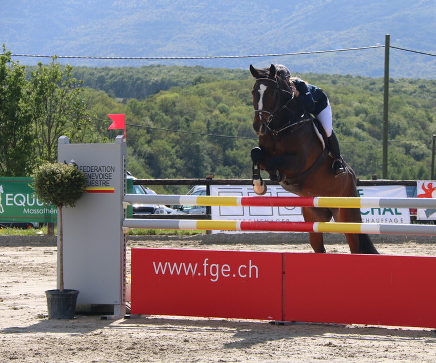 Description de l'image