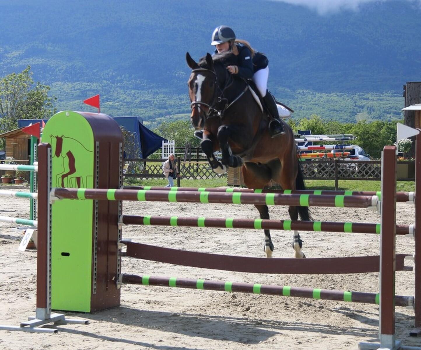 Description de l'image