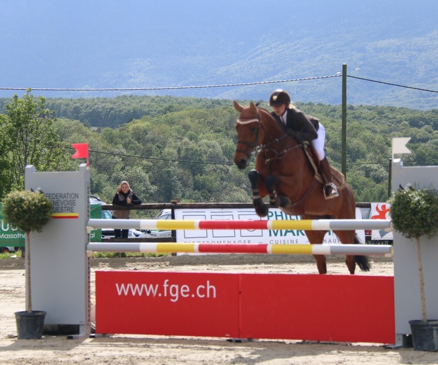 Description de l'image