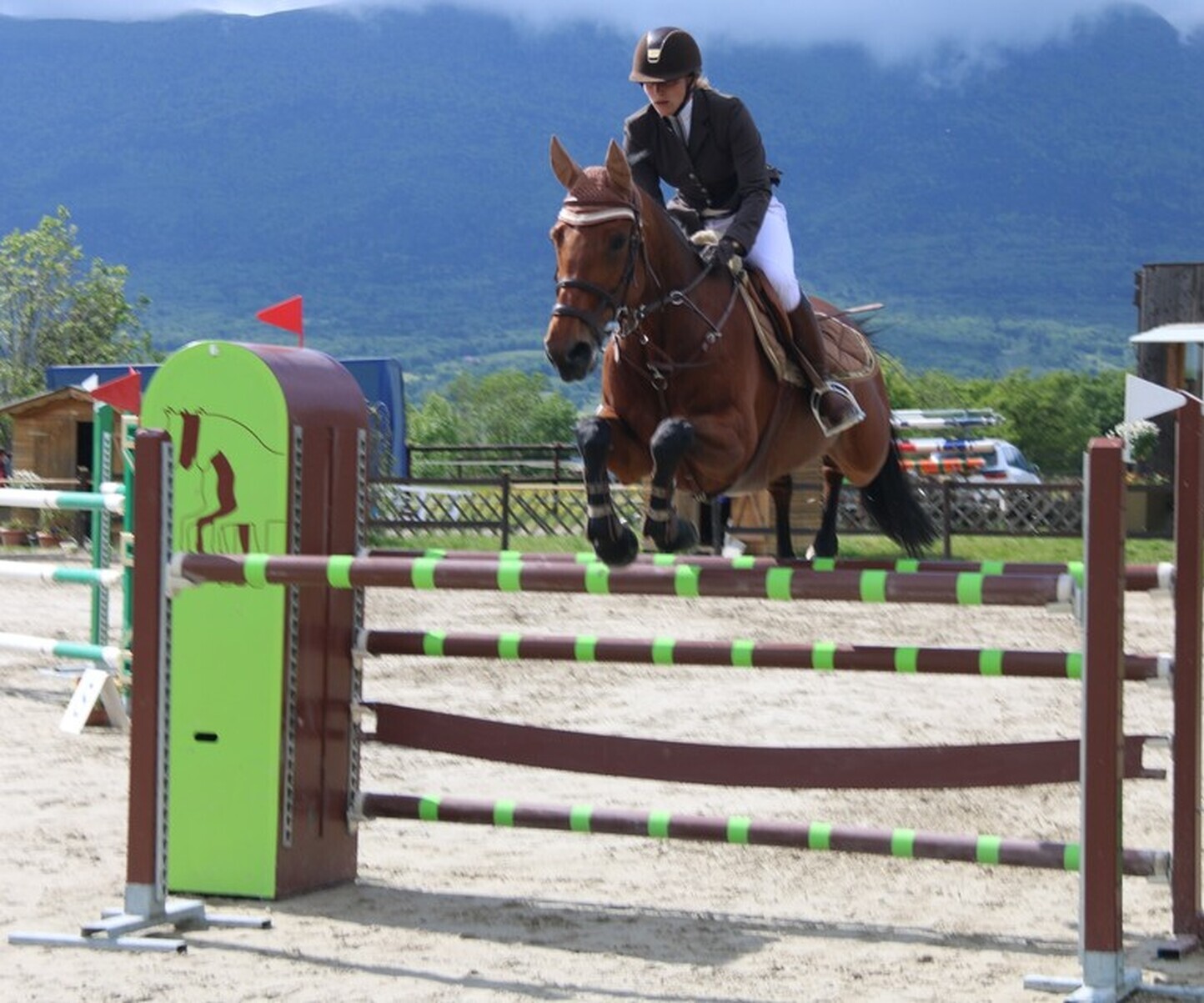 Description de l'image