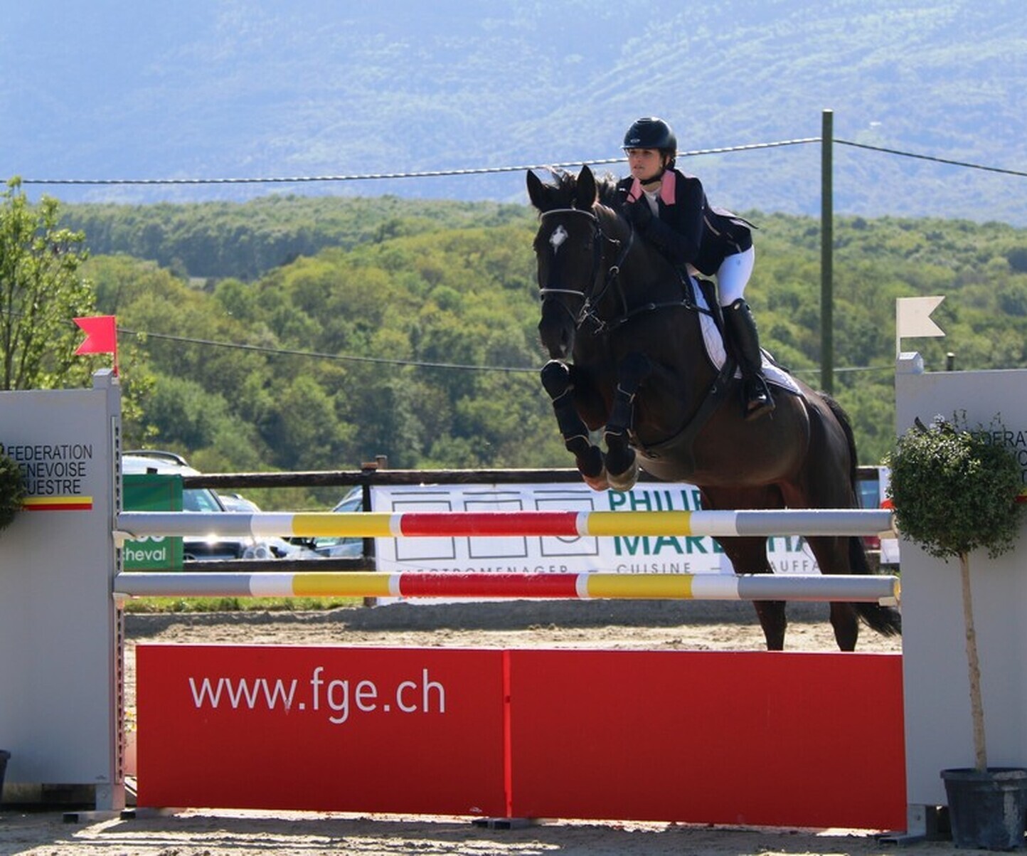 Description de l'image