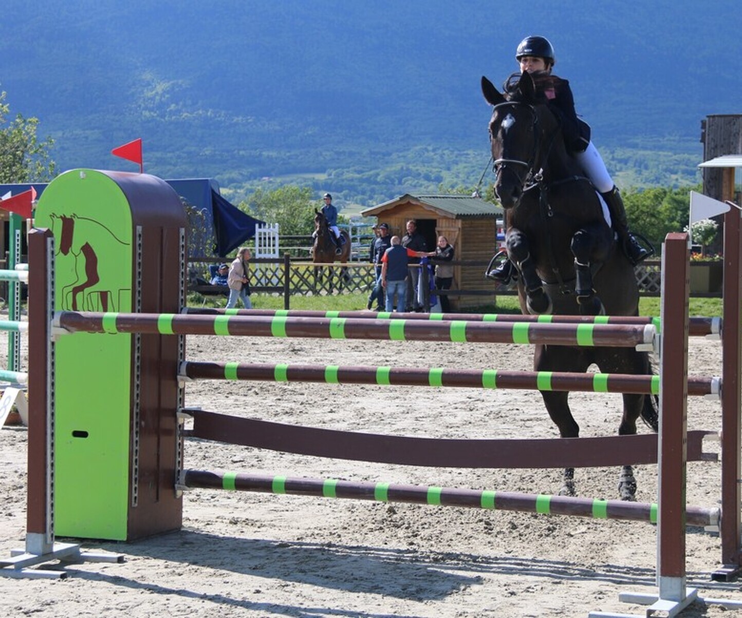 Description de l'image