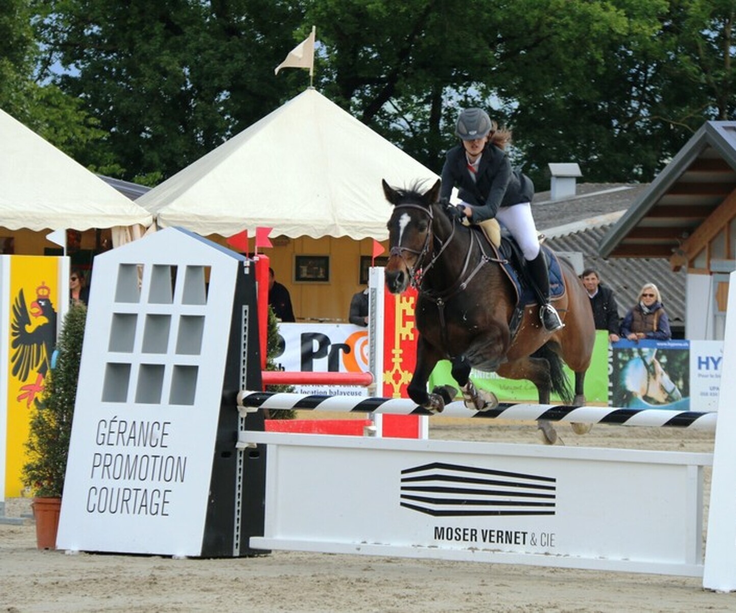 Description de l'image