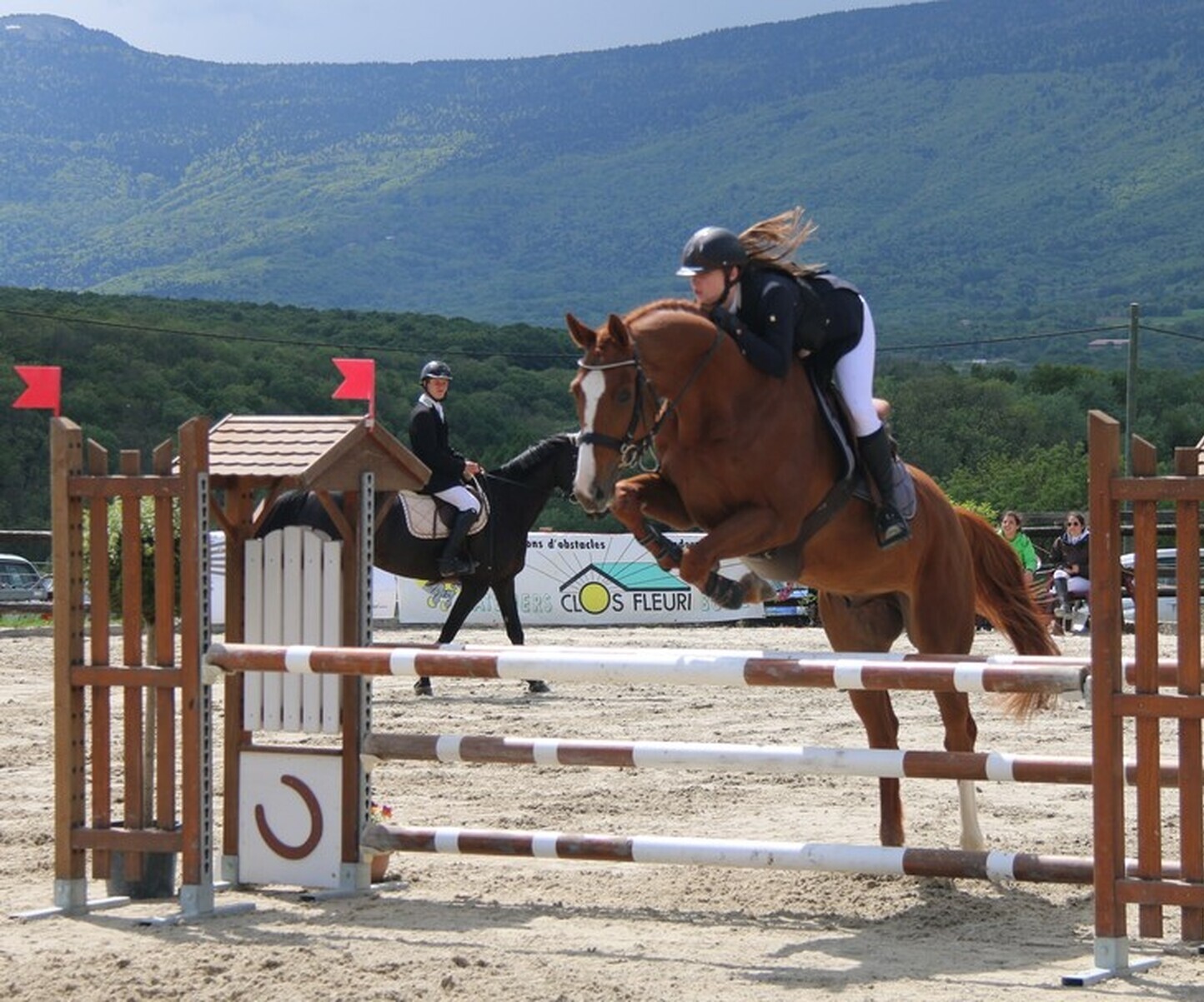 Description de l'image